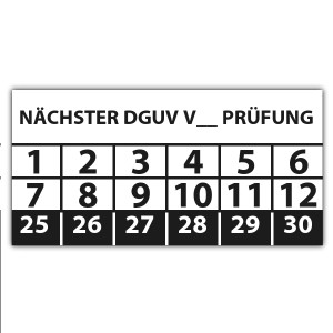 Prüfplakette Nächster DGUV Prüfung (eigene eingabe) - Prüfplaketten DGUV